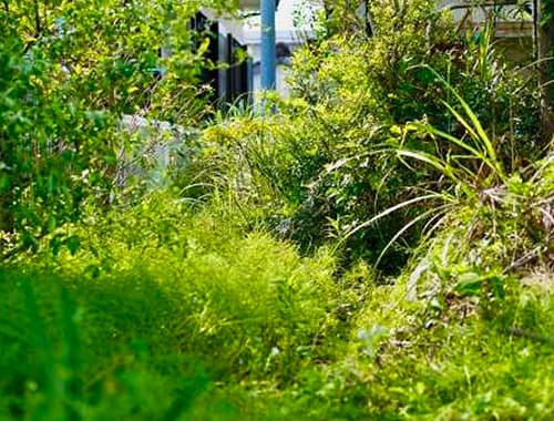 CGによる家具配置 イメージ